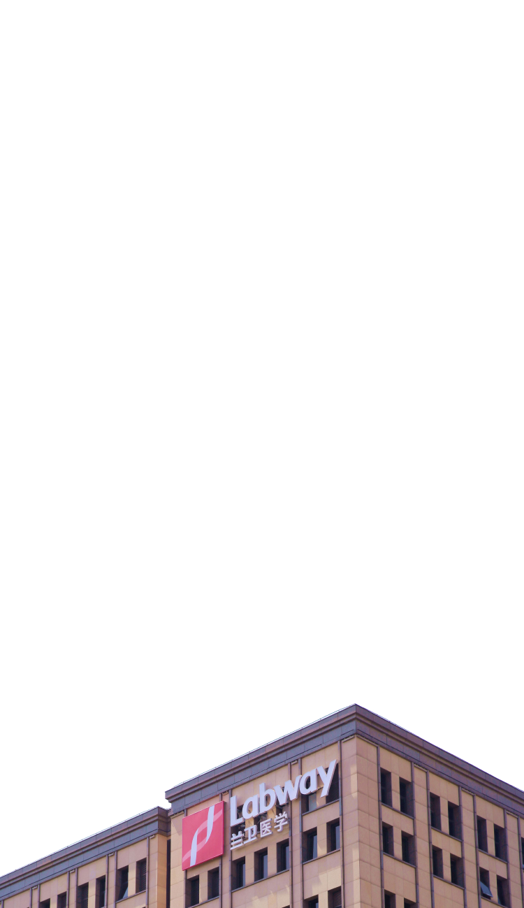 东升国际(中国区) - 官方网站