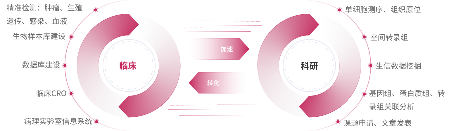 东升国际(中国区) - 官方网站
